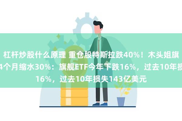 杠杆炒股什么原理 重仓股特斯拉跌40%！木头姐旗下基金总资产4个月缩水30%：旗舰ETF今年下跌16%，过去10年损失143亿美元