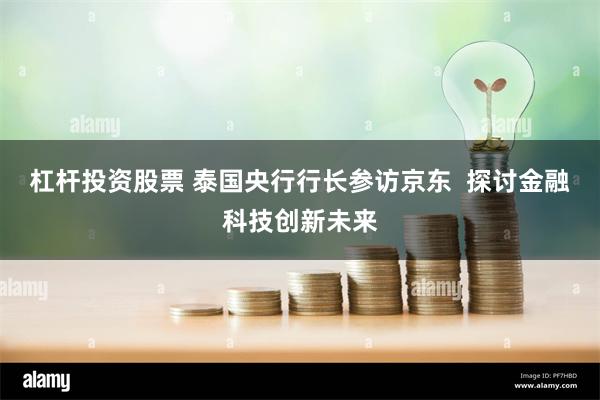 杠杆投资股票 泰国央行行长参访京东  探讨金融科技创新未来