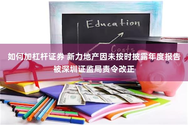 如何加杠杆证券 新力地产因未按时披露年度报告被深圳证监局责令改正