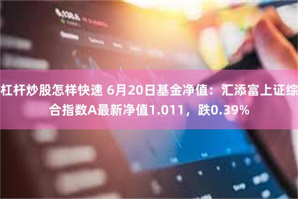 杠杆炒股怎样快速 6月20日基金净值：汇添富上证综合指数A最新净值1.011，跌0.39%