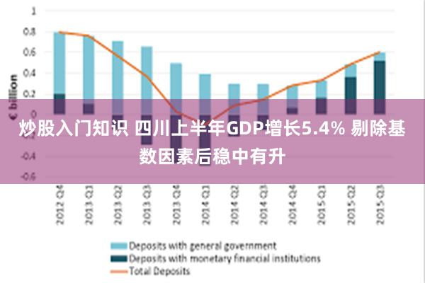 炒股入门知识 四川上半年GDP增长5.4% 剔除基数因素后稳中有升