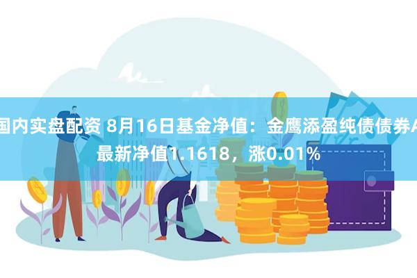 国内实盘配资 8月16日基金净值：金鹰添盈纯债债券A最新净值1.1618，涨0.01%