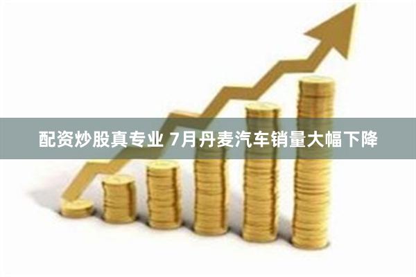 配资炒股真专业 7月丹麦汽车销量大幅下降