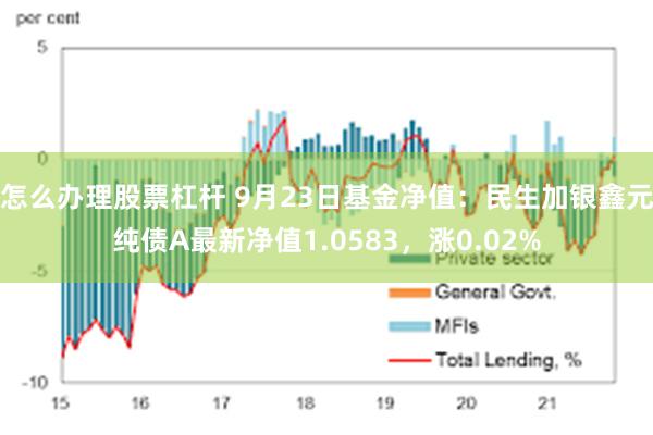 怎么办理股票杠杆 9月23日基金净值：民生加银鑫元纯债A最新净值1.0583，涨0.02%