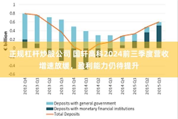 正规杠杆炒股公司 国轩高科2024前三季度营收增速放缓，盈利能力仍待提升