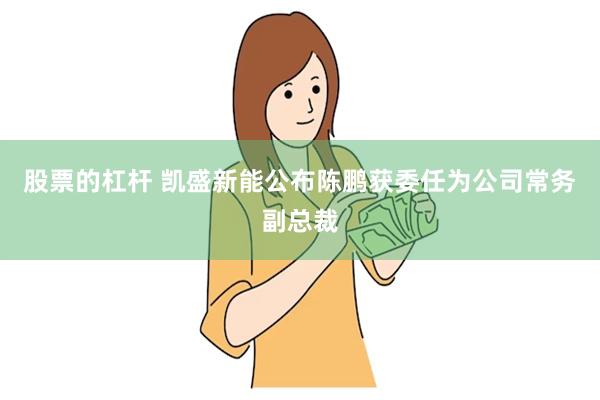 股票的杠杆 凯盛新能公布陈鹏获委任为公司常务副总裁