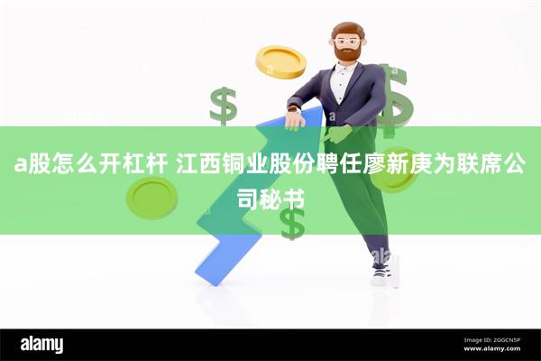 a股怎么开杠杆 江西铜业股份聘任廖新庚为联席公司秘书