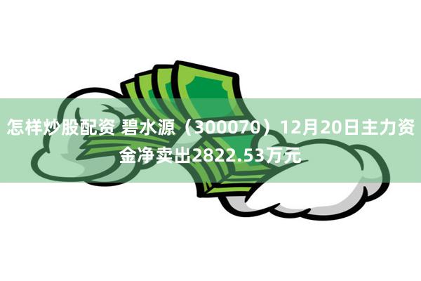 怎样炒股配资 碧水源（300070）12月20日主力资金净卖出2822.53万元